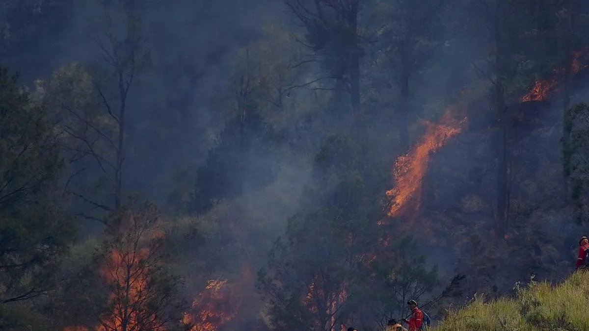 Indonesian national park wildfire kills four, burns two