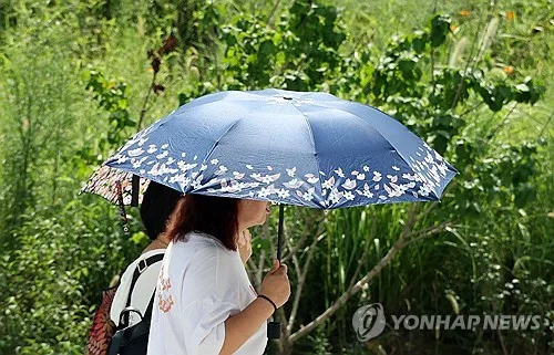 '처서' 지났지만 전국 폭염 기승, 한낮 최고 36도…곳곳 소나기