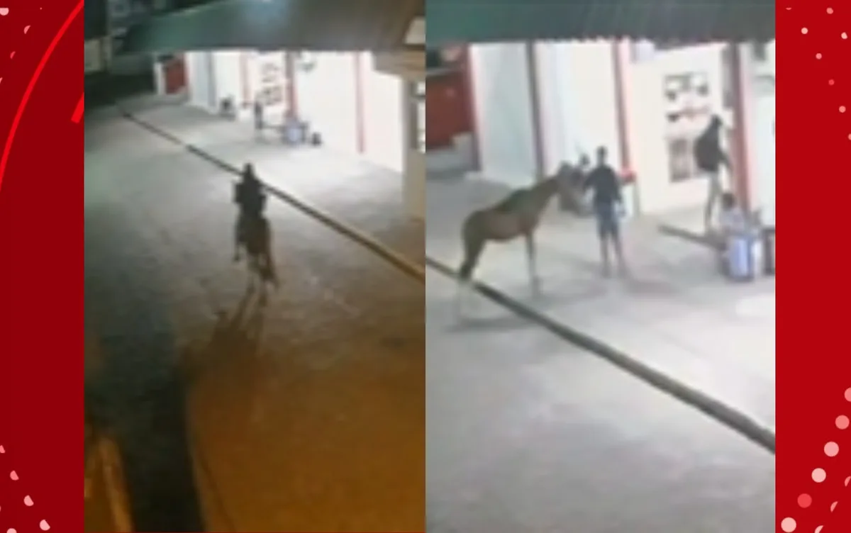 VÍDEO: Homem rouba lanchonete montado a cavalo e obriga vítima a segurar animal no interior da Bahia