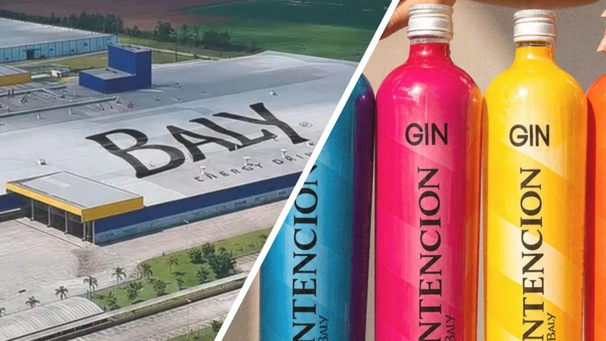 Gigante de SC lidera mercado de gin e planeja faturamento de R$ 2,5 bilhões após dominar setor de bebidas energéticas