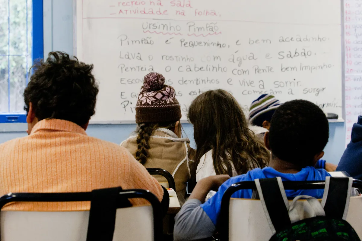 Educação política: da obrigação legal à experiência democrática