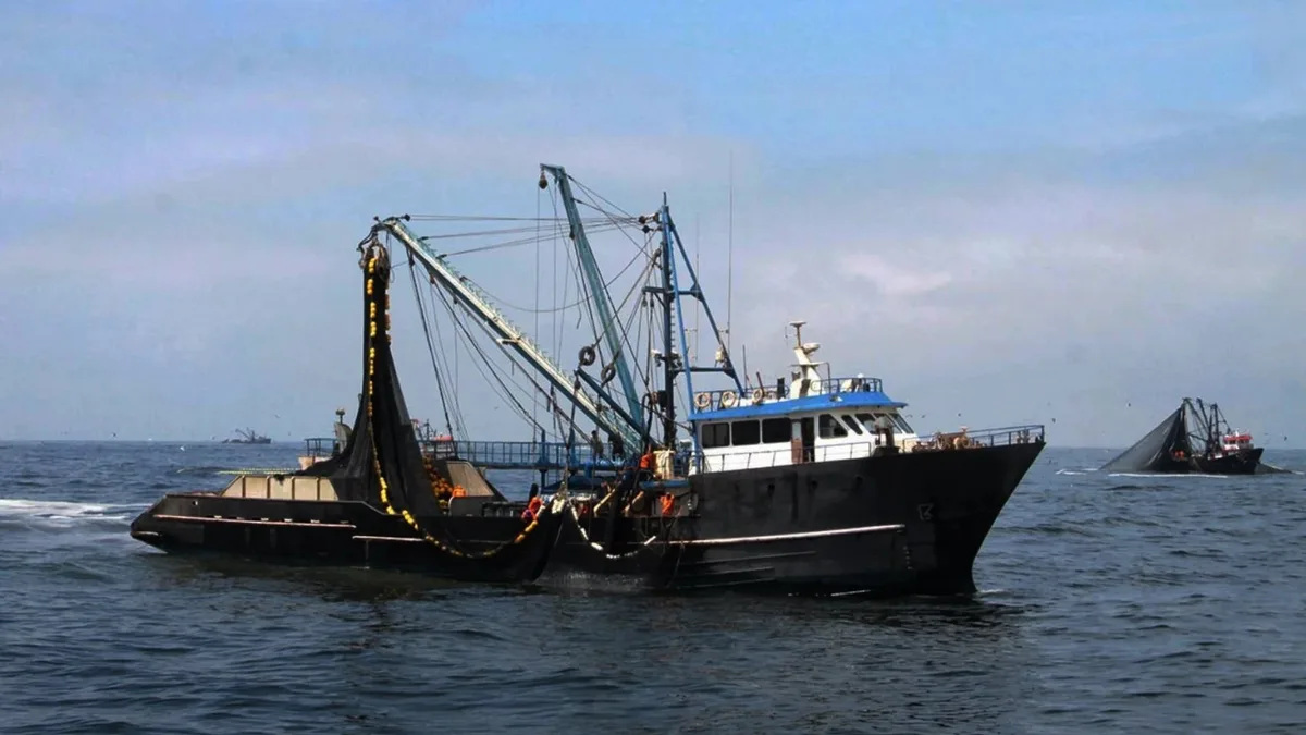 Pesca industrial de anchoveta podría paralizarse por más de un año tras decisión de Produce