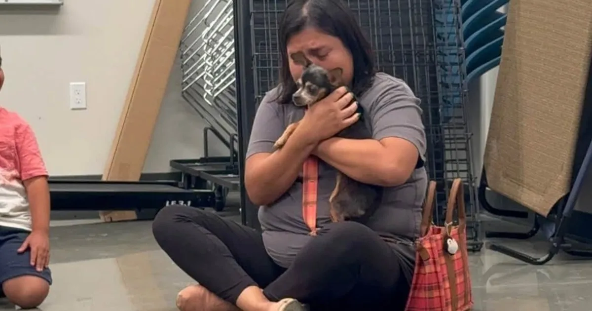 Perdió a su perra, la buscó durante 12 años y un microchip hizo posible un reencuentro inesperado