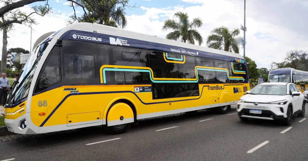 Cuándo comienza a funcionar el Trambus en CABA: cuál será su recorrido, frecuencia y tarifa