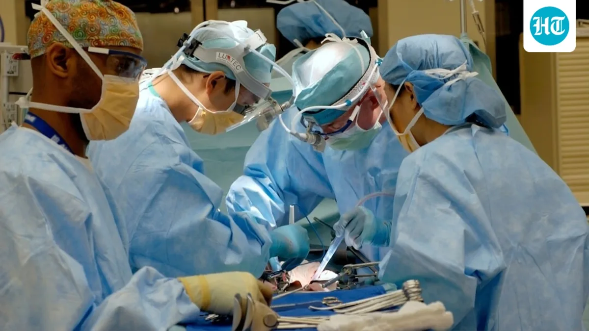 Can you live a normal life after an organ transplant? Heart surgeon explains what changes and what doesn’t