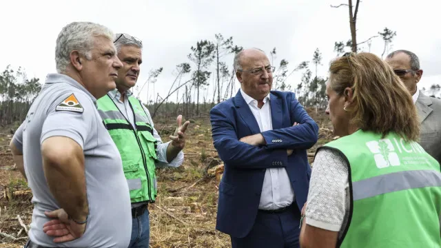 Cerca de 20 mil camiões de madeira retirados após tempestade Kristin