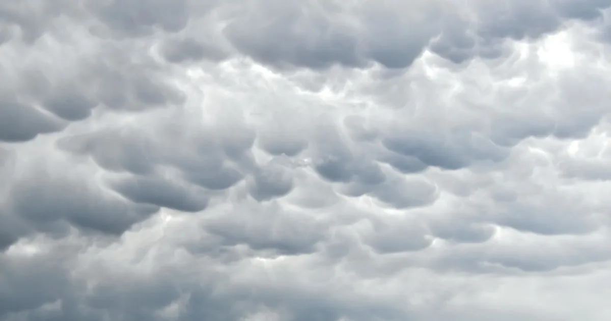 Clima hoy en Pinar del Sol, Buenos Aires: el pronóstico del tiempo para este jueves 20 agosto de 2026