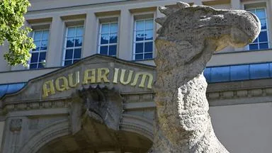 Berliner Aquarium nach der Modernisierung