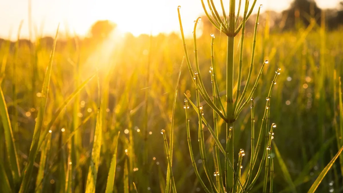 Wetter: Es wird wieder sonnig - bis 27 Grad möglich