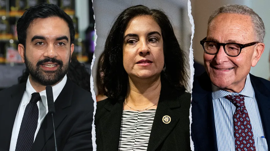 New York City’s lone Republican in Congress accuses Mamdani, Schumer of 'hypocrisy' in voter ID fight