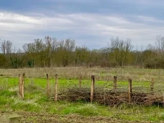 Du bois mort au service du vivant : comment aménager une haie sèche dans son jardin ?