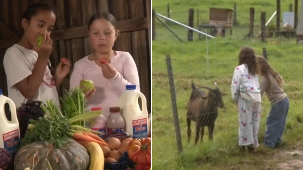 Confronting new survey reveals Aussie kids think food comes from factories, supermarkets and even McDonald’s – not farms
