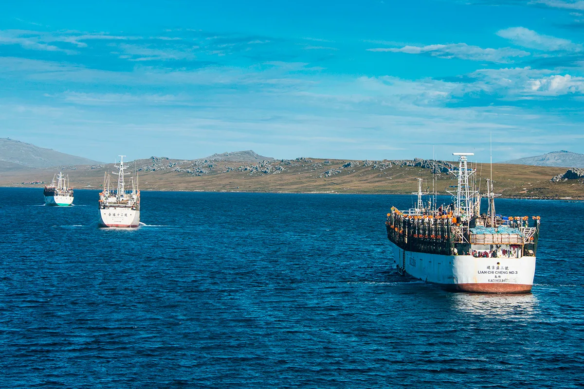 La amenaza que paraliza a la flota española de las Malvinas: ¿por qué ha desaparecido el gran caladero del calamar?