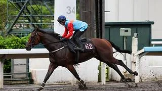 El mejor caballo del mundo Ka Ying Rising deslumbra para la temporada en Sha Tin