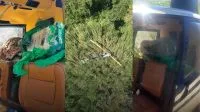 PF prende italiano com 52 frascos de “droga do amor” no Aeroporto do Galeão