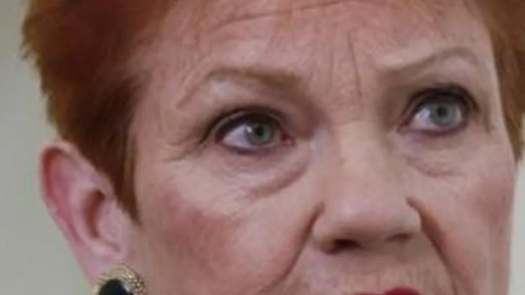 One Nation tobacco plan criticised by Labor for engaging in ‘bidding war’ with organised crime