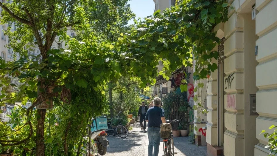 Hitzeschutz in Wien, Paris und Singapur: Was wir in Deutschland von anderen Städten lernen können