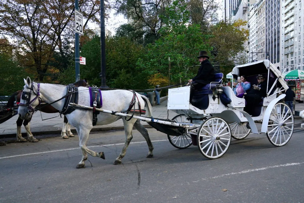 New York plans to ban Central Park's horse-drawn carriages after teen's death