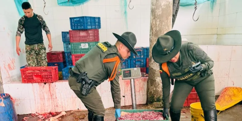 En matadero clandestino en Silvania, Cundinamarca, decomisaron 8.500 kilos de carne de caballo: un hombre fue capturado