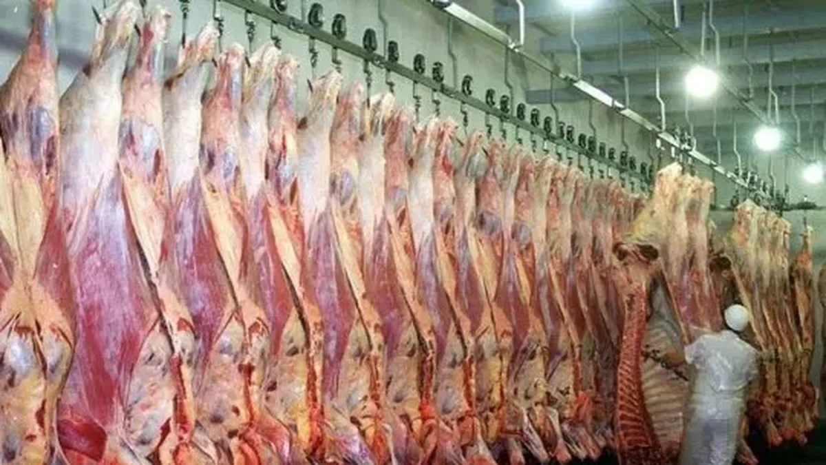 Carne vacuna: las exportaciones crecen 42% en dólares, cae la oferta local y avanzan las importaciones