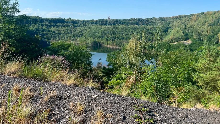 Vos vacances ICI en Moselle-est : traversez la carrière Simon, friche minière devenue poumon vert