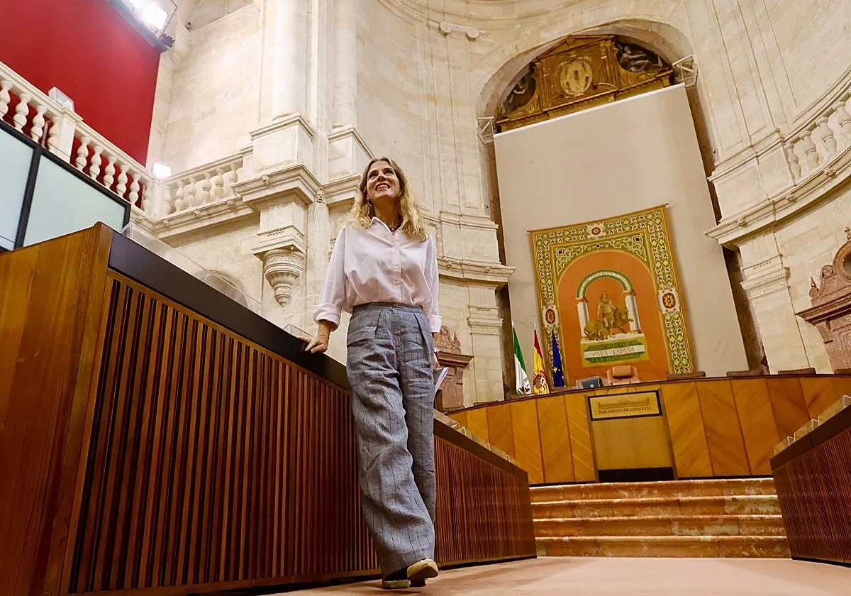 La presidenta del Parlamento no descarta modificar el pleno que coincide con la campaña: «Se valorará»