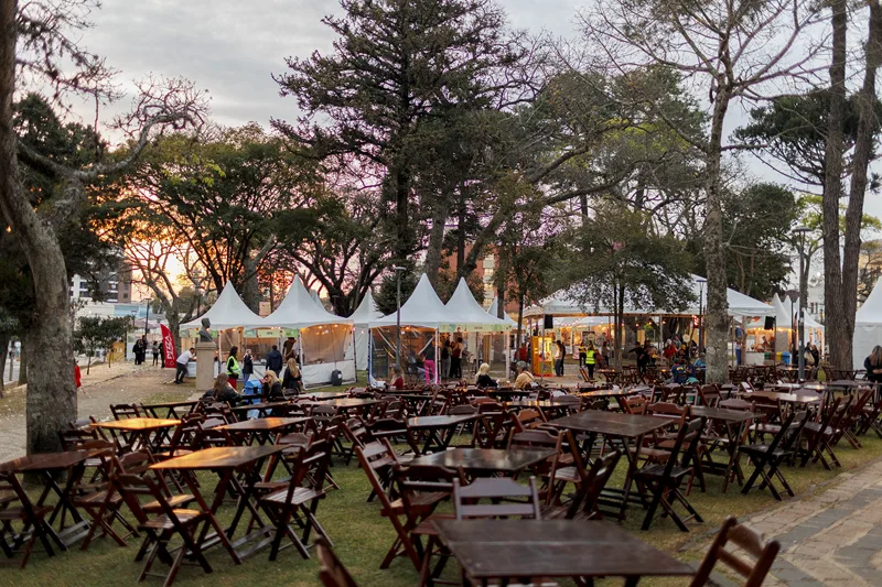 Dia dos Solteiros: 6 opções de passeios turísticos para fazer sozinho em Curitiba