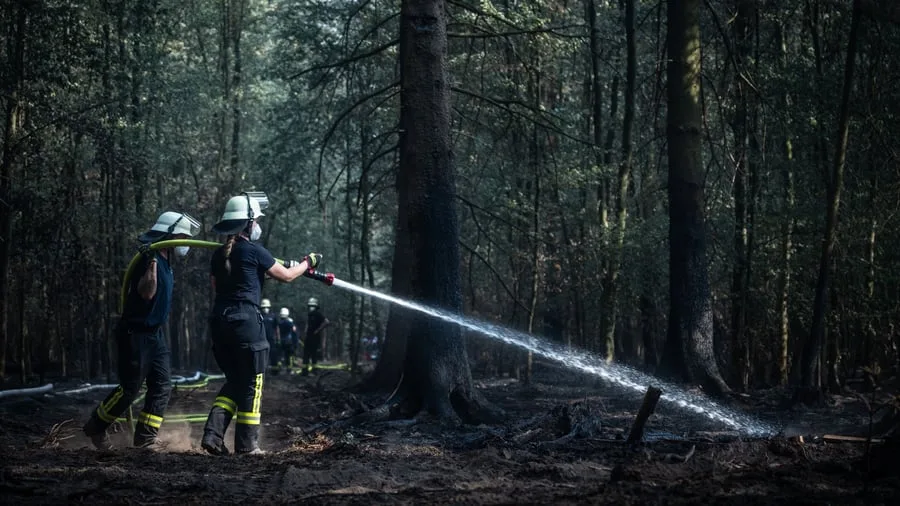 Hitzewelle: Merz will Helfern im Waldbrandgebiet danken