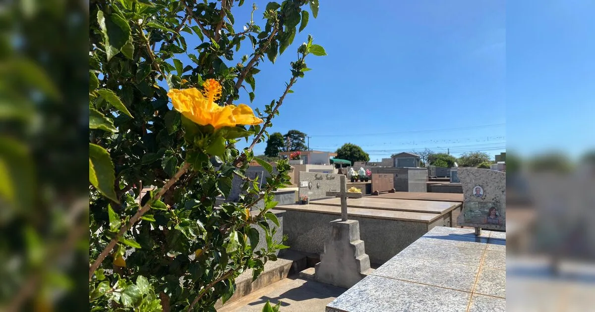 Confira os falecimentos desta terça-feira (22) em Apucarana