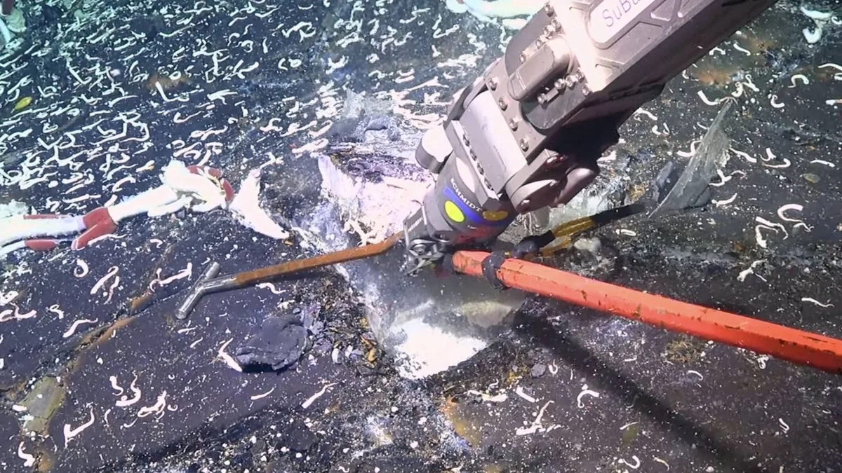 Perforan la corteza oceánica a 2.500 metros de profundidad y aparecen unos extraños seres vivos que no deberían estar ahí
