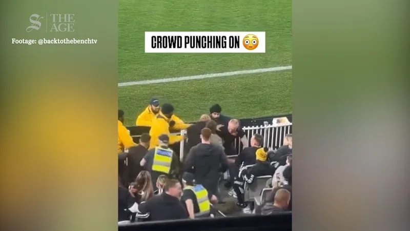 Brawl at Collingwood and Western Bulldogs AFL match