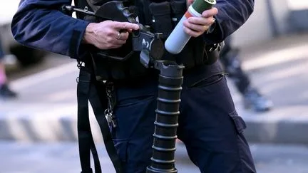 Une pétition pour "interdire des armes mutilantes dans les manifestations lycéennes" dépasse le seuil des 100 000 signatures sur le site de l'Assemblée nationale