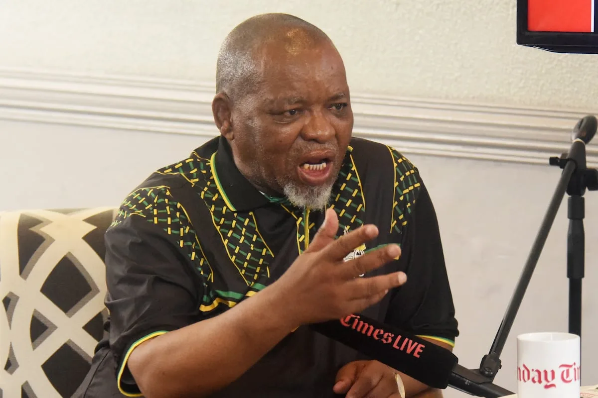 S’THEMBISO MSOMI | Unlikely ANC will censure Mantashe over recent gaffes