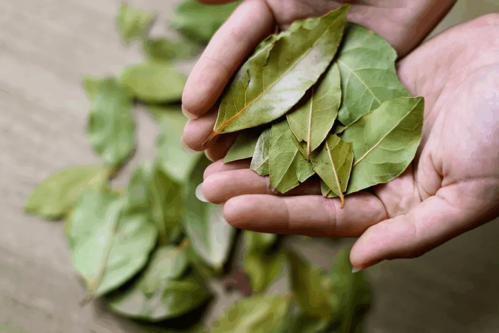 Banho de Oxalá: conheça o ritual poderoso para proteger a mente