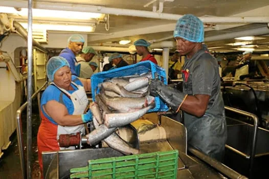 INNOCENT DWAYI | Don’t let an old vessel sink SA’s fishing success