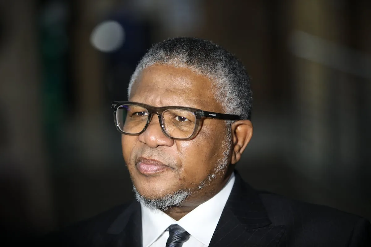 Mbalula questions DA’s role in GNU after ConCourt clash