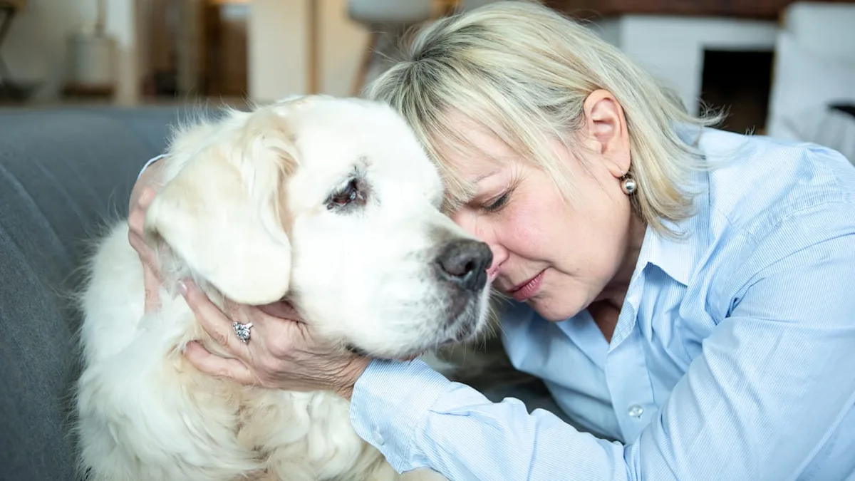 Experte ordnet ein - Kann ein Hund bei Depressionen wirklich helfen?