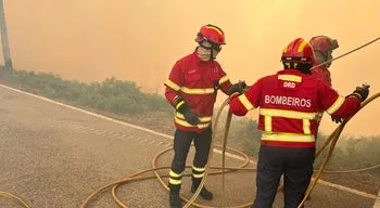 Incêndio está próximo de zona industrial em Oliveira de Azeméis