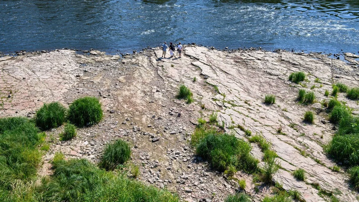 Trockenheit: Pegelstände an der Elbe steigen wieder