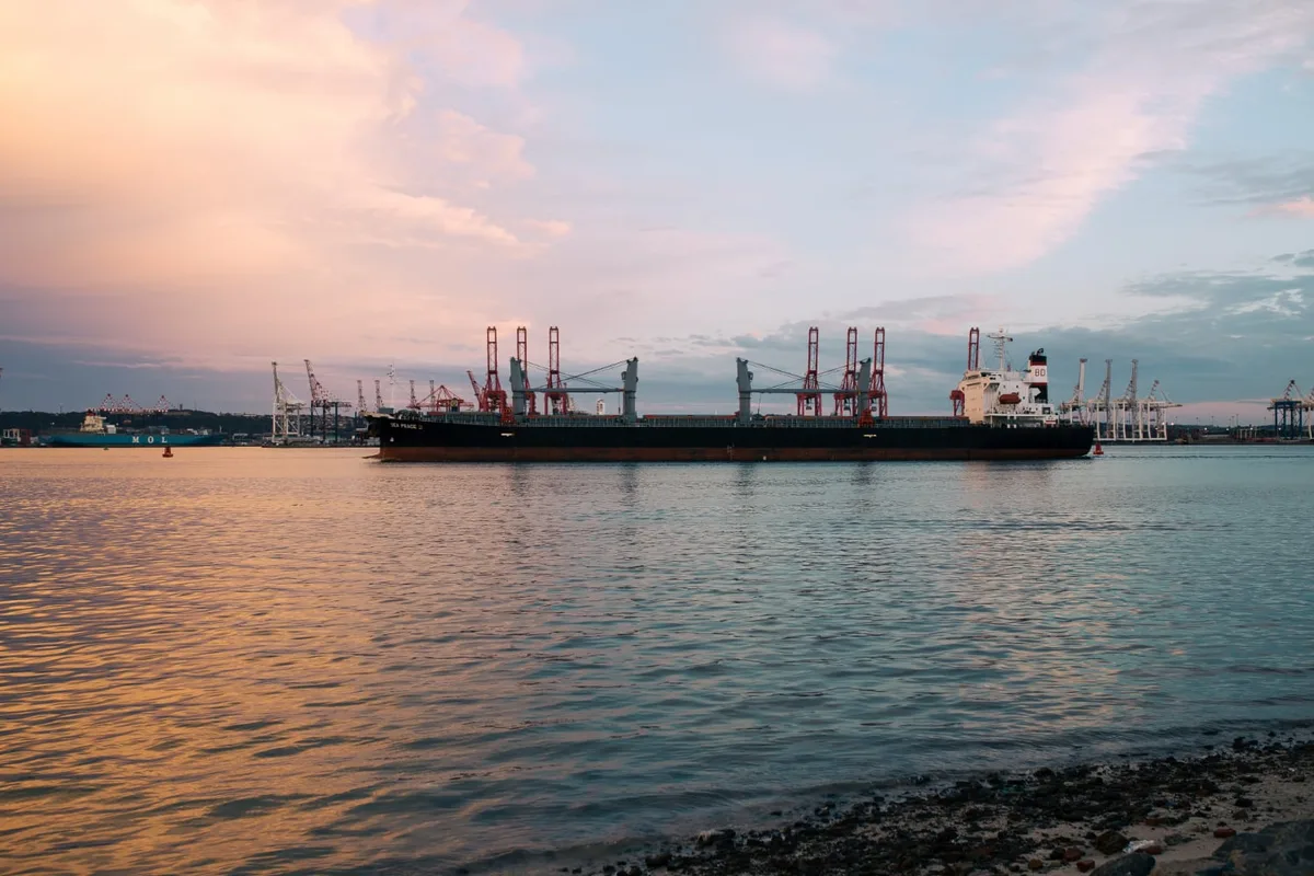 Pese a freno judicial, planta de gas en Sonora que afecta al Golfo de California podría ocultar permisos para operar, alertan organizaciones