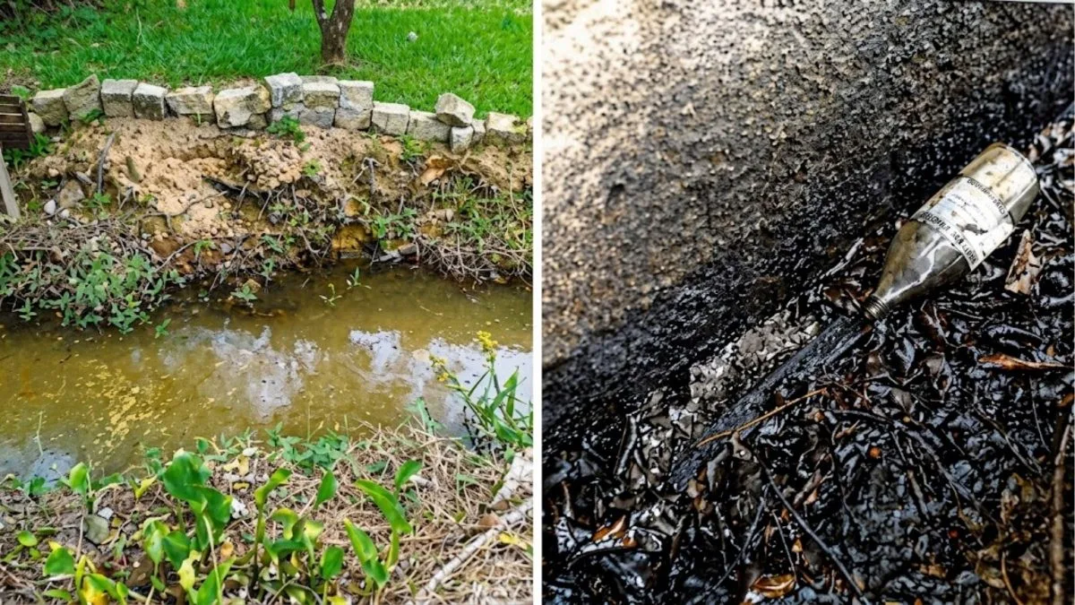 Empresa é condenada por descartar óleo em rio e realizar obras em área de preservação em SC em caso que envolveu morte de peixes