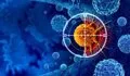 Cáncer: descubren cómo la presión física puede frenar la metástasis