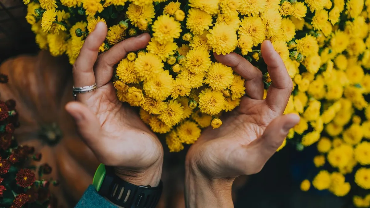 Gärtnern im Herbst: Das sind die vier schönsten Blumen für die goldene Jahreszeit
