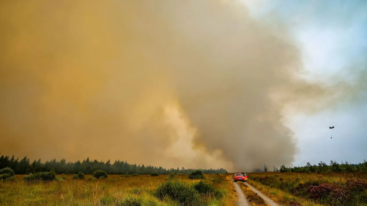 „Feuerfront ist 1,5 Kilometer von der deutschen Grenze entfernt“