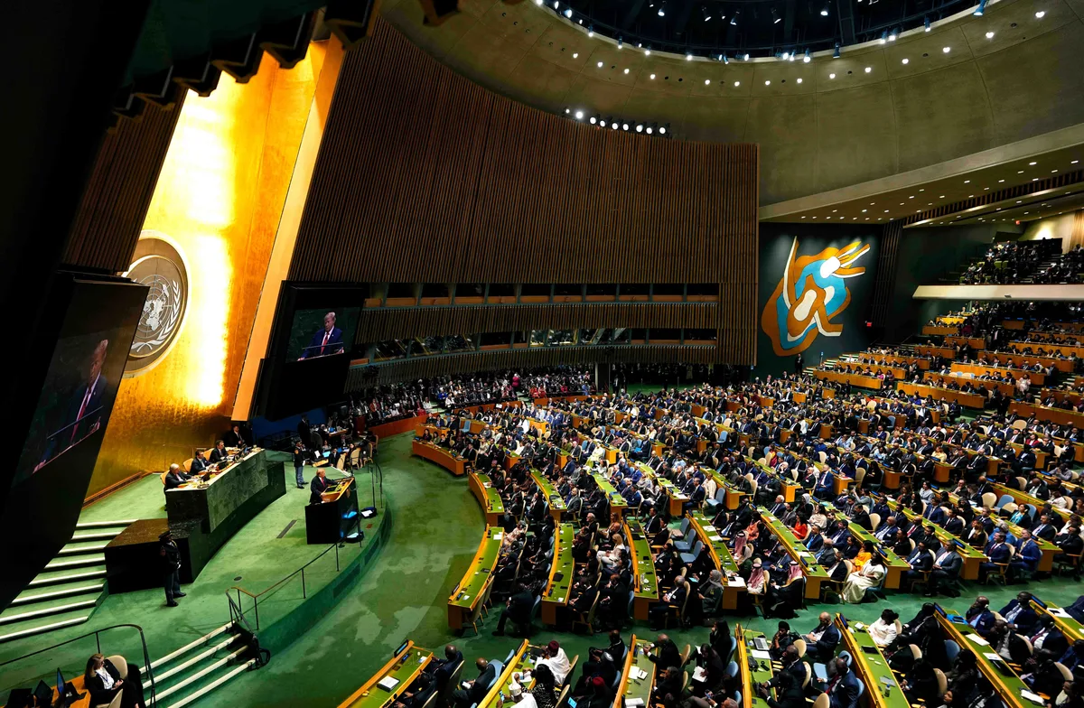 El declive de la ONU depende de una decisión