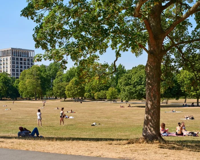 Access to nature inequalities ‘on par with Victorian Britain’s filthy air’