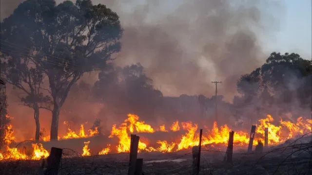Mais de 50 concelhos de sete distritos em perigo máximo de incêndio