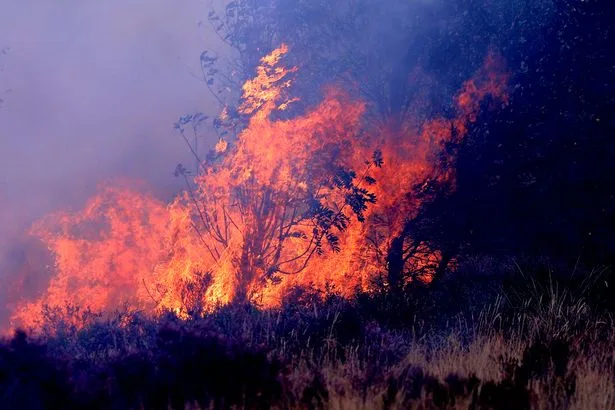 El Nino sparks warning of extreme weather events - what you need to prepare