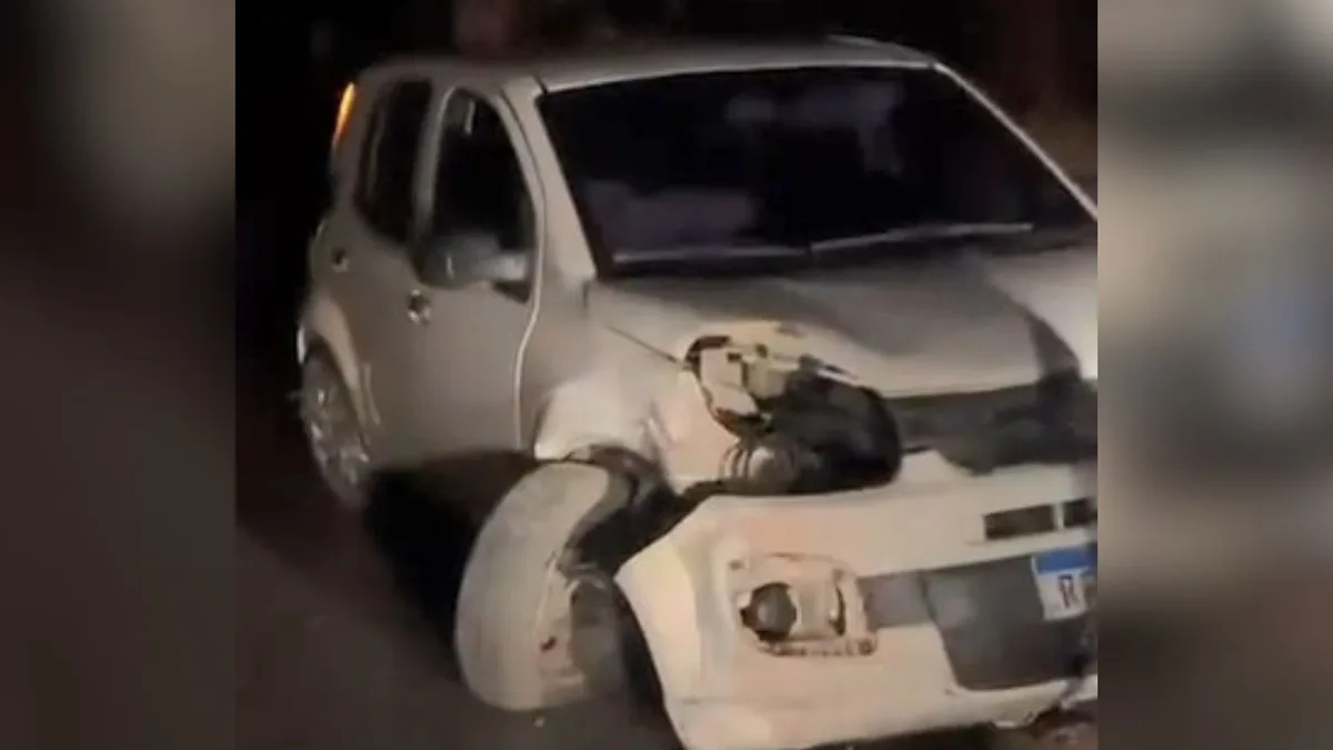 Carro mata capivara atropelada e colide com árvore na ES 490, em Itapemirim