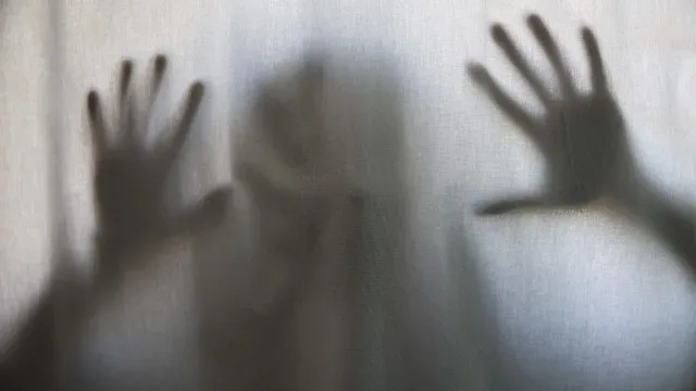 Quase mil vítimas de violência doméstica receberam apoio desde 2022